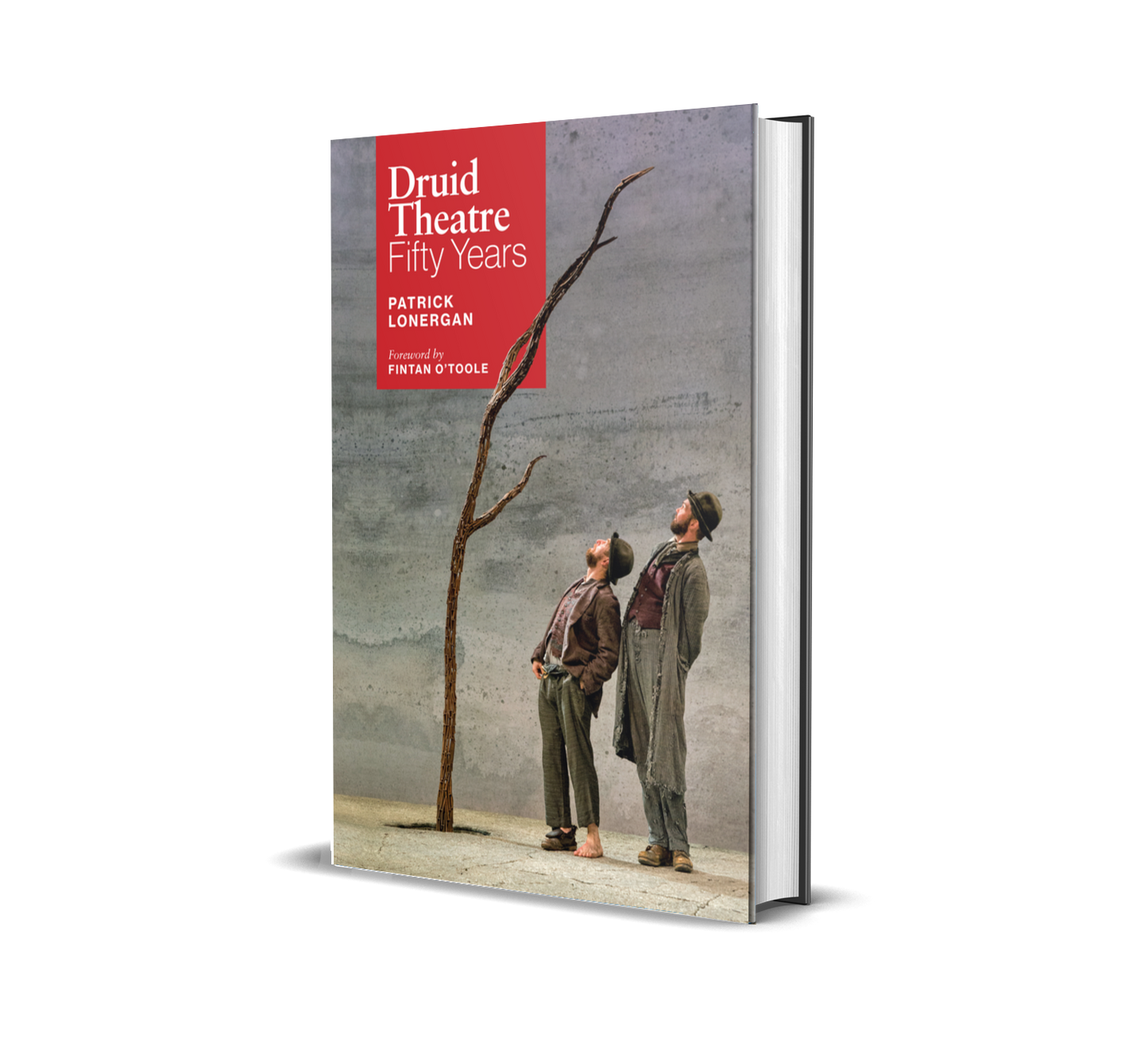 Druid Theatre: Fifty Years