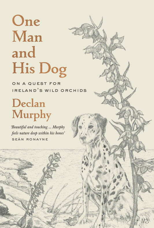 One Man and His Dog: On a Quest for Ireland’s Wild Orchids