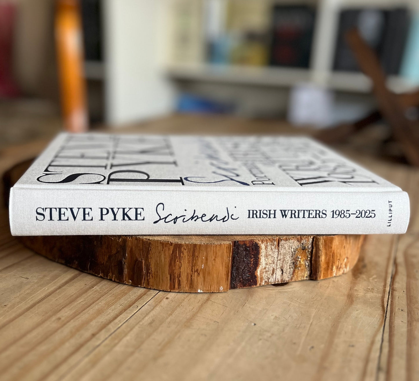 Scribendi: Portraits of Irish Writers 1985-2025 | Limited Edition