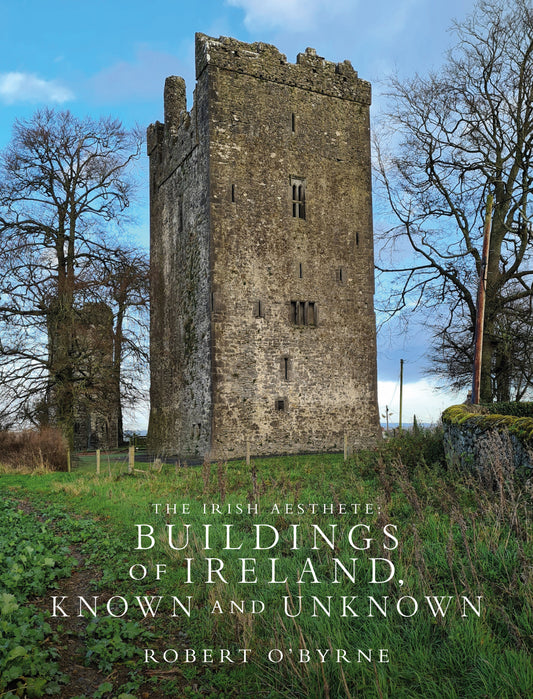 The Irish Aesthete: Buildings of Ireland, Known and Unknown
