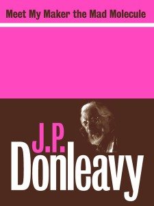 Meet My Maker the Mad Molecule J.P. Donleavy Lilliput Press eBook Book Cover