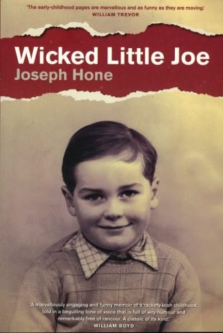 Wicked Little Joe Joe Hone Lilliput Press Book Cover