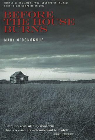 Before the House Burns by Mary O'Donoghue Lilliput Press Book Cover
