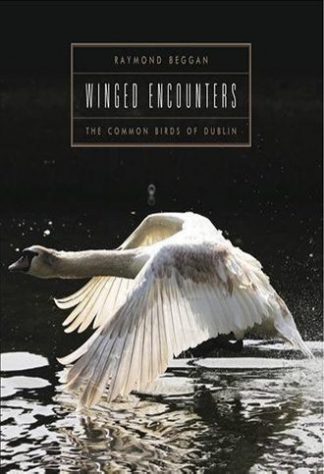 Raymond Beggan Winged Encounters. The Common Birds of Dublin Photographs Book Cover Lilliput Press