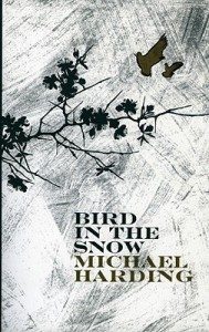 Bird in the Snow Michael Harding Lilliput Press Book Cover