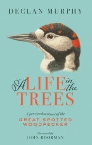 A Life In The Tress The Great Spotted Woodpecker Declan Murphy