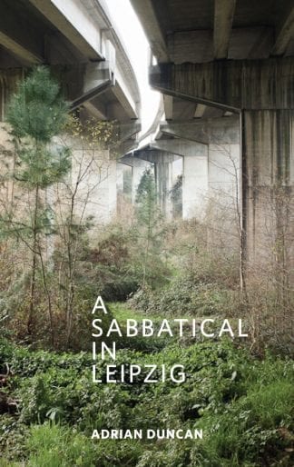 A Sabbatical in Leipzig Book Cover Adrian Duncan Engineer